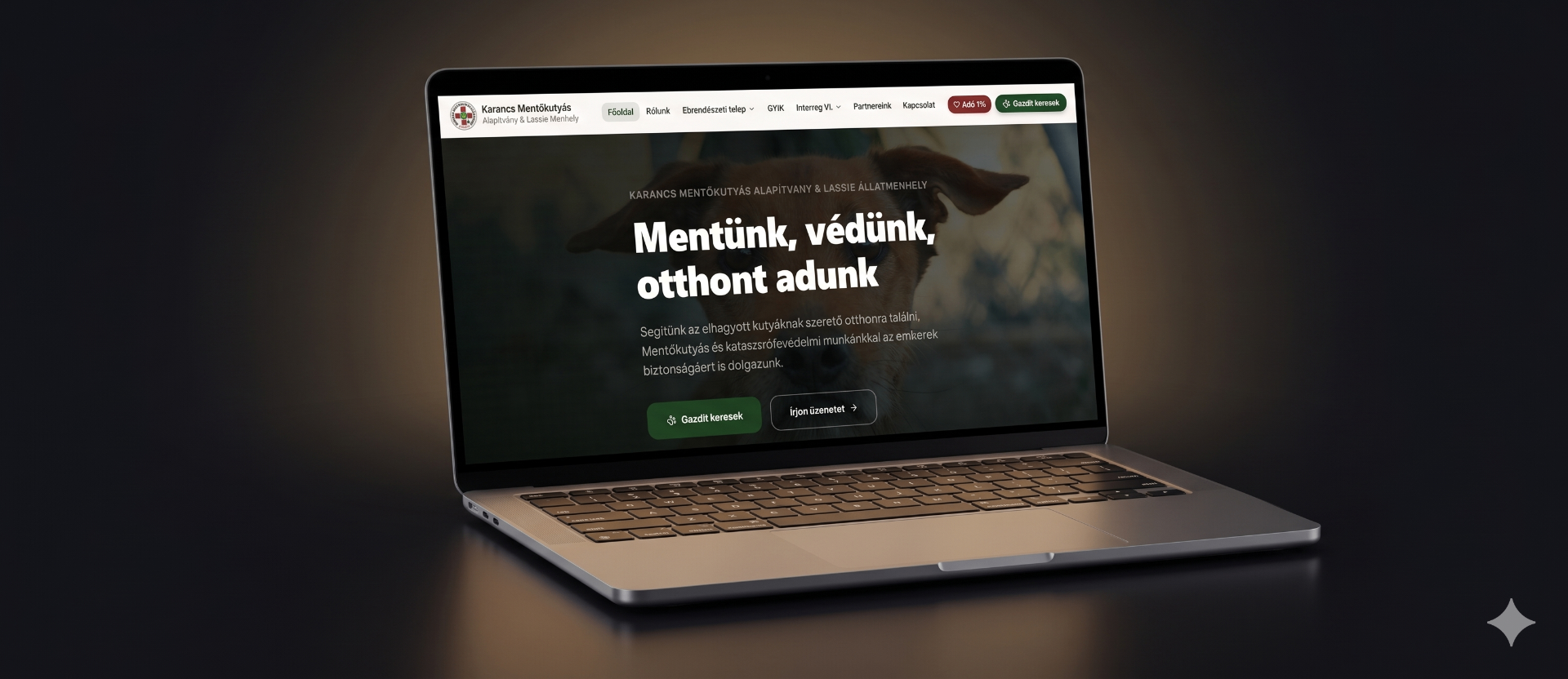 Lassie Állatmenhely